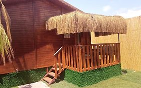 Tasdibi Bungalov